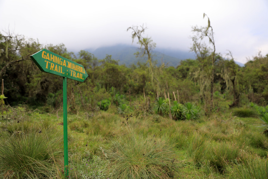 This is Urugano, situated just between Muhabura and Gahinga mountains. Rwanda Development Board said it will soon develop this area and other sites into a new tourism product.