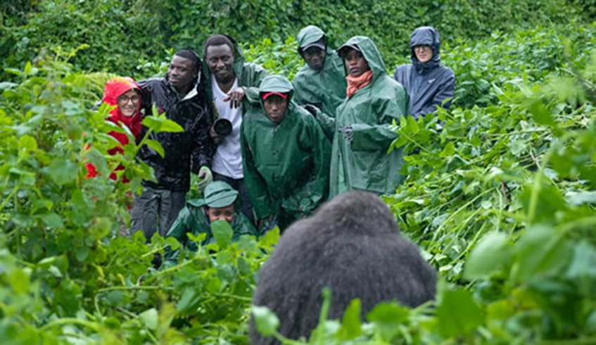 There are many ways to keep life exciting, from trekking gorillas to enjoying the beach. / Net photos