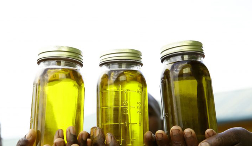 Genetic resources are used for research or product development that finally deliver commercial products such as oils. / Net photo.