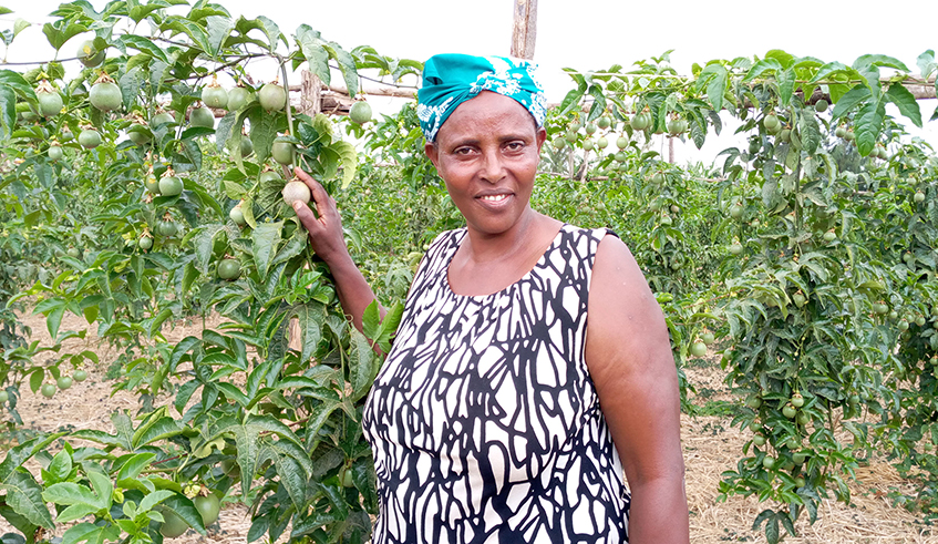 Virginie Murebwayire, 55, stands in her one-hectare passion fruit farm in Gishari, Rwamagana District. / Photo : JD Nsabimana