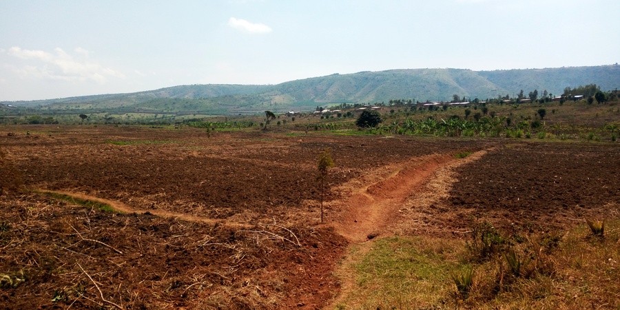 Murundi Sector, Kayonza District. / Photo JD Nsabimana
