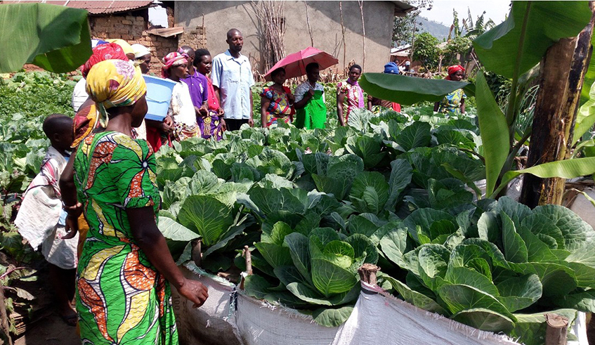 Savings groups help Kigali women venture into profitable vegetable businesses. / Photo: Courtesy.