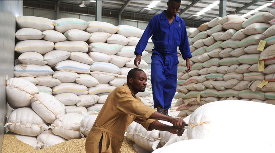 Workers in a warehouse at Rwanda Trading Company, an exporter of Rwandan coffee. 