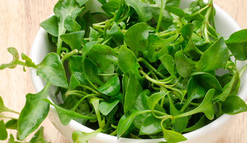Historically, people have used watercress as little more than a garnish. / Photo: Net