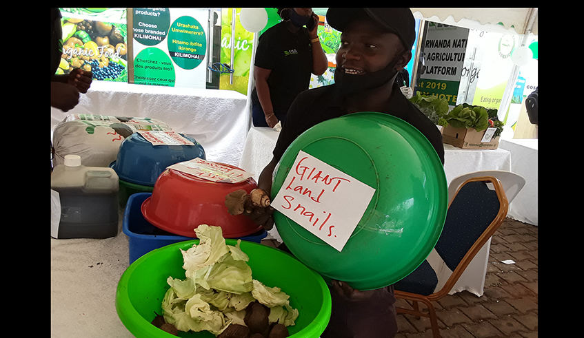Xavio Dominico Imbabazi, the 29-year old young owner of a company dubbed u201cGolden Insects Ltdu201d that has invested in farming different edible insects and organic fertilizers production . / Michel Nkurunziza