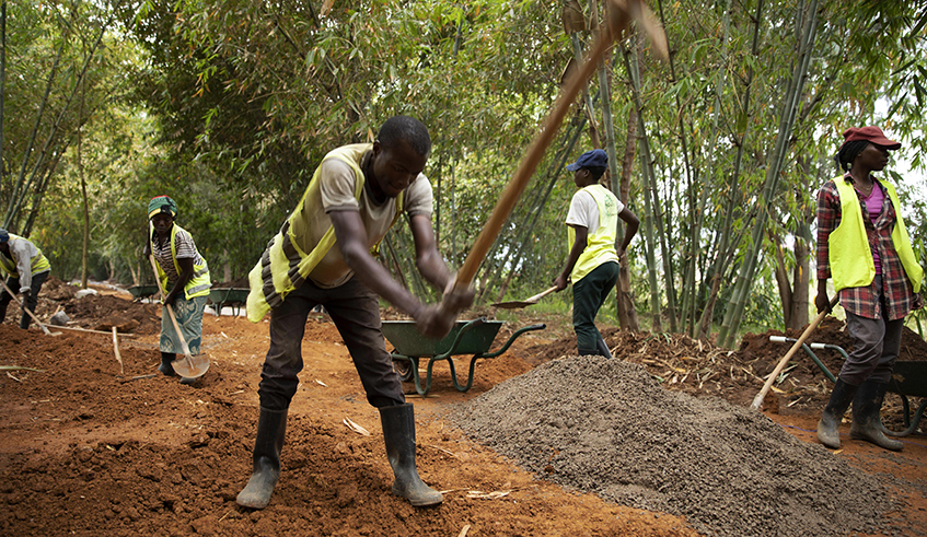 Workers during the construction of Nyandungu Urban Wetland Ecotourism Park last year. / Photo: Sam Ngendahimana.