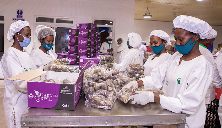 Workers package fruits and vegetables for export in Kigali. Rwanda exported some 31,788 tonnes of horticulture commodities, which generated US$28.7 million during the 2019/20 fiscal year. / Photo: File. 