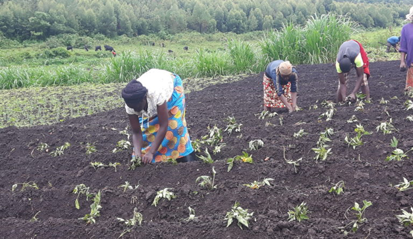 Jeanne dâ€™Arc Uwemeyimana, having faced so many hurdles in her life as a woman, preferred to employ other women so as to help them cope with difficulties too. / Photo:Michel Nkurunziza.