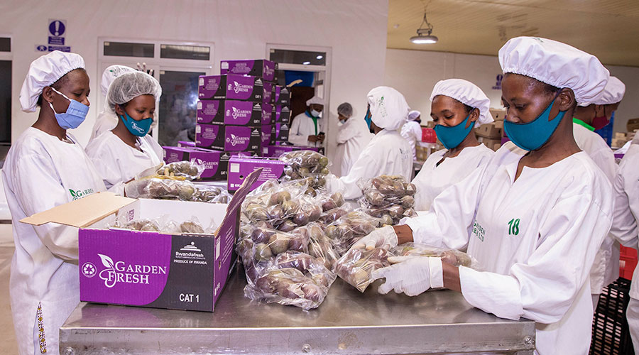 Workers pack fruits for export in Kigali last year. 