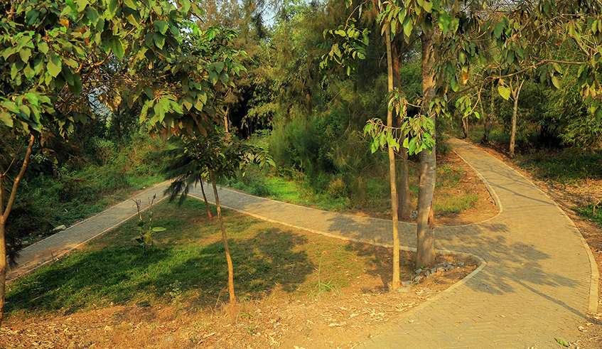 Newly constructed pedestrian alleys at Urban Wetland Eco-Tourism Park in Kigali. / Photo: File.