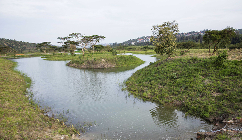 Artificial lakes that were created at Nyandungu wetland Ecotourism Park. / Photo: File.
