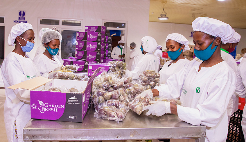 Workers package fruits and vegetables for export in Kigali in January. Local and regional exports have recovered to pre-Covid-19 levels following a sharp decline in April 2020. / Photo: File.