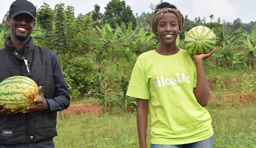 Abdlaman Muvunyi, the Project Manager, and  Gloria Mutuzo, Agronomist and Marketing Manager at the Iwacu Modern Farm company on the farm during harvest. Youth in agribusiness could get equity funding. / Photo: Courtesy.