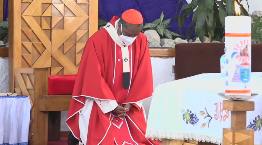 Cardinal Antoine Kambanda celebrates mass on Palm Sunday on March 28. The events for this yearu2019s Easter celebrations have been modified to meet the Covid-19 containment measures. 