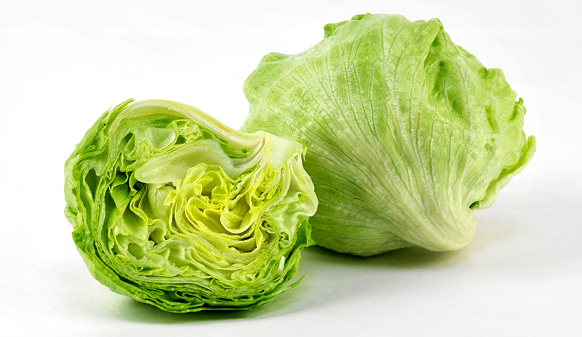 Iceberg lettuce is an excellent source of potassium and manganese.  / Photo: Net