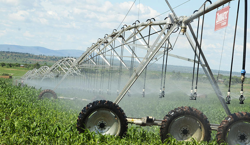 A solar-powered irrigation scheme in Nasho, Eastern Province. / Photo: File.