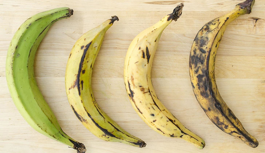 The color of banana one chooses impacts their health too because each color provides its own unique set of benefits.Photo/ net.