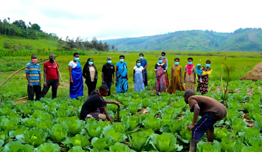The financial support to the women farmers is a boost to sustainable school feeding through locally produced vegetables. / Photo: Courtesy.
