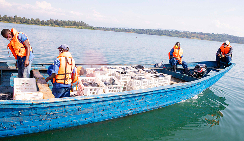 Fishermen during  the fishing exercise in Kivu Lake in 2020.The activity of aquaculture and fisheries was allocated about Rwf1 billion, yet it needed Rwf5.7 billion. / Photo: File.