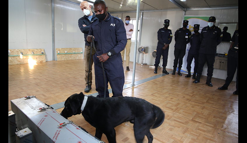Rwanda biomedical center has showcase the Dogs that was doing training of detecting  Covid-19 test on Friday. / Craish Bahizi