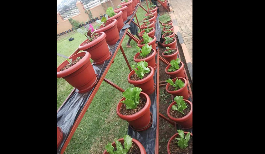 One of their metallic vertical kitchen garden. / Photo: Courtesy.