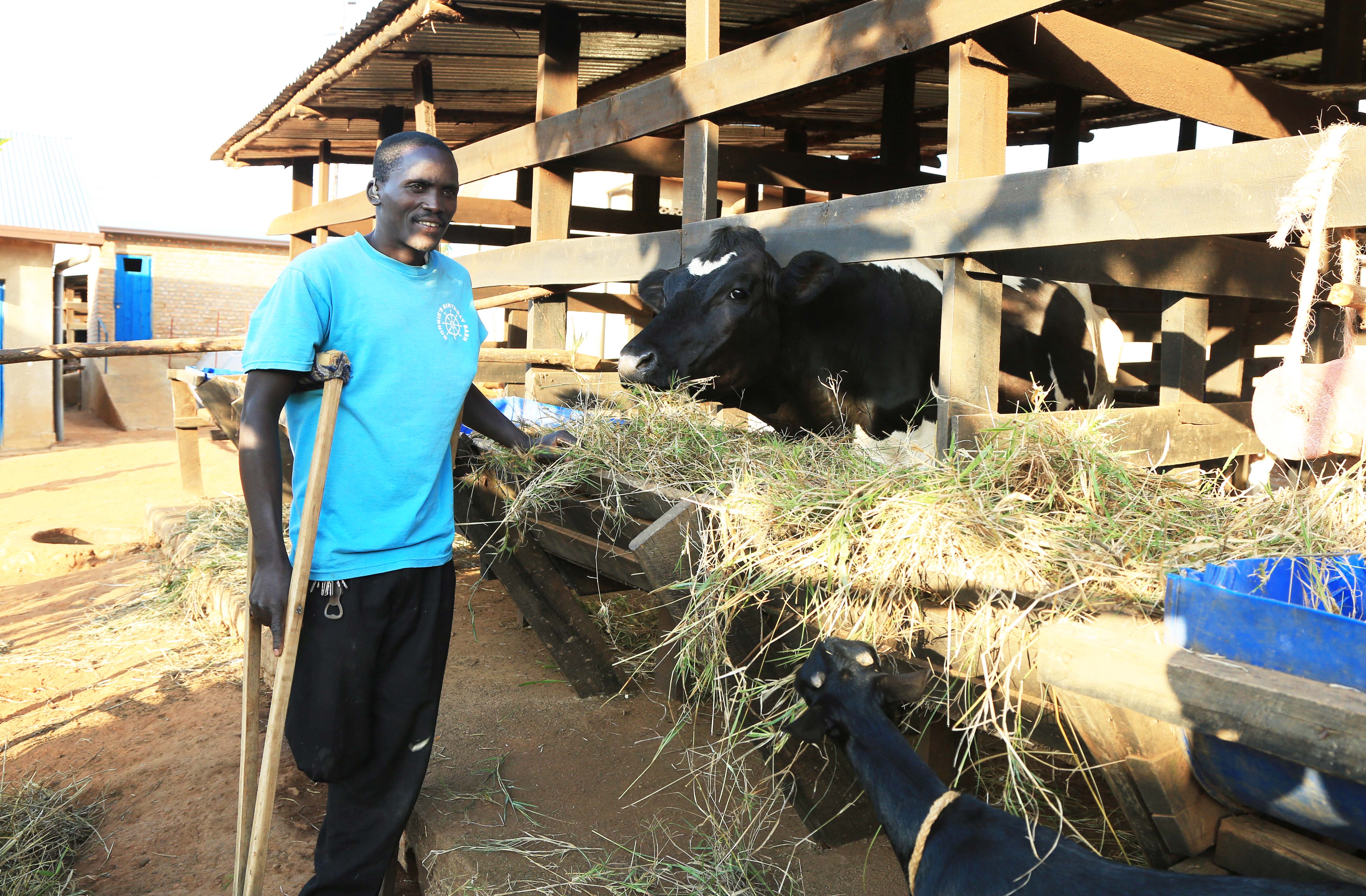Antoine Mutuyimana ,a beneficiary of Girinka Programme poses near his cow at Rwero Model Village in Bugesera District. He is one among hundreds of former SharitaIsland residents who were relocated in 2016 .Photo Sam Ngendahimana 