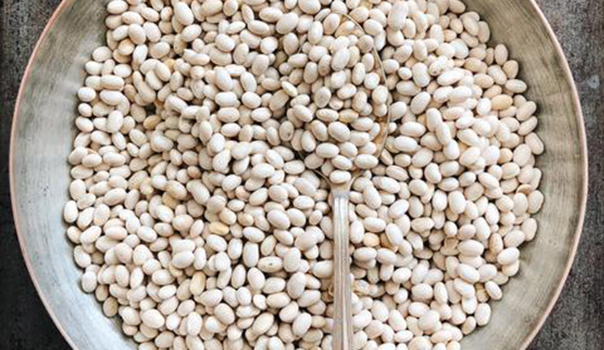 Navy beans can be found in local markets. Photo/Net