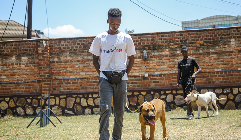A dog trainer at The Dogâ€™s Haus on August 26, 2021. / Dan Nsengiyumva