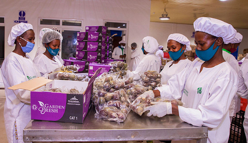 Workers package fruits for export at NAEB warehouse in Kigali. / Photo: File.