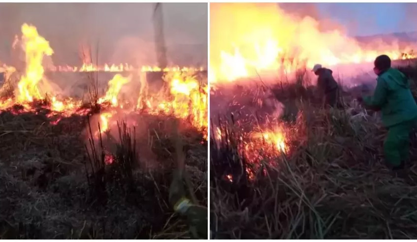 A composite of the destructive fire that gutted at least 50 hectares of Rugezi Wetland in Burera District recently.  / Photo: Courtesy.