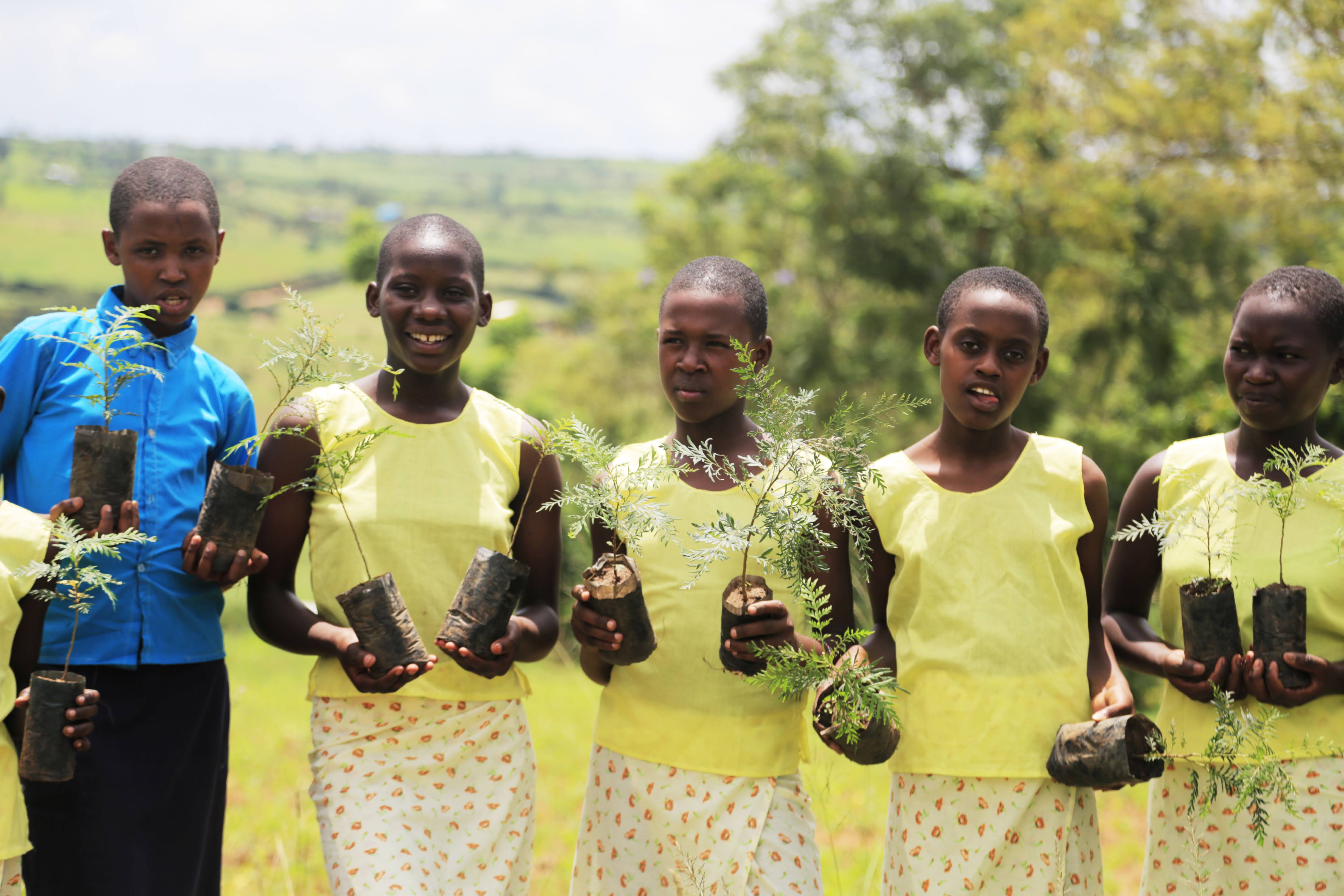 Pupils at Groupe Scolaire Musenyi in Gatsibo District, Eastern Province hold seedlings that they were going to plant in a previous tree-planting exercise. The government is targeting to plant at least 43 million trees during a year-long campaign that is set to begin next month. / Photo: Sam Ngendahimana.