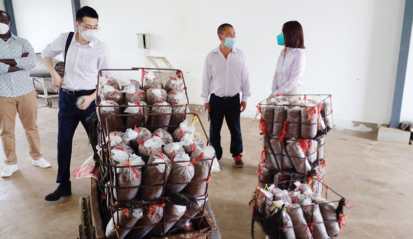 The project occupies an area of 22 hectares of land