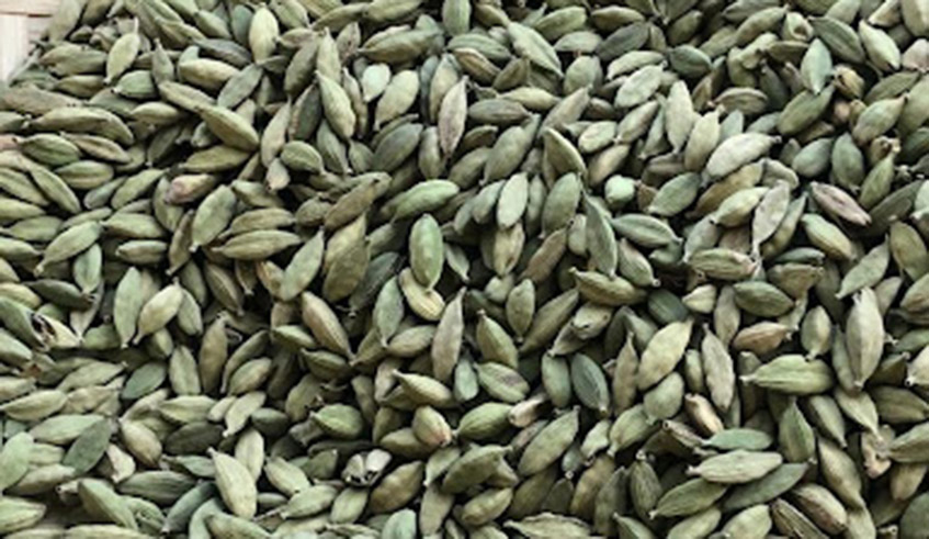 Cardamom is mostly grown in Ruhengeri. Photo/Net