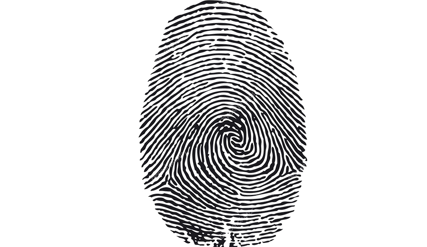 A fingerprint. / Net photo.