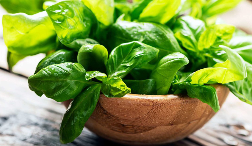 Basil can be found in local food markets. Photo/Net