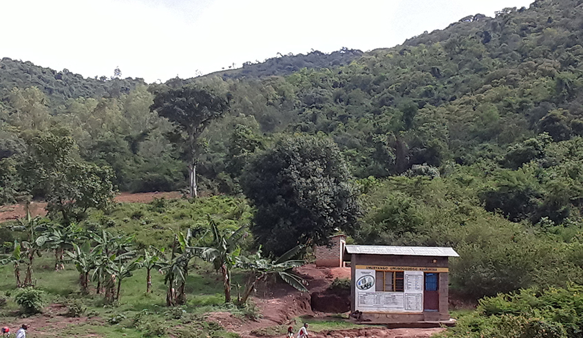 Kibirizi-Muyira natural forest  is being restored in partnership with community around it. / Photo: Michel Nkurunziza.