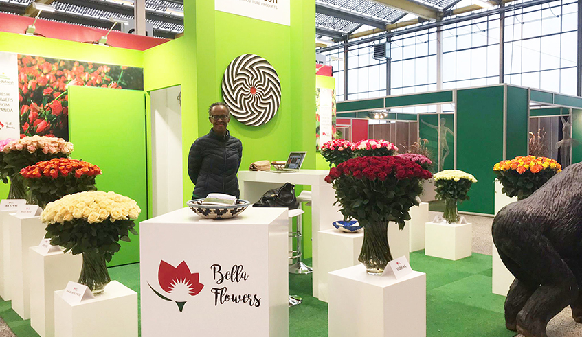 A view of Rwandau2019s stand at the International Floriculture Trade Fair in Vijfhuizen, Netherlands on November 3, 2021. Rwanda is represented by Bella Flowers Ltd, which is showcasing the uniqueness of the countryu2019s fresh-cut roses. / Photo: Courtesy.