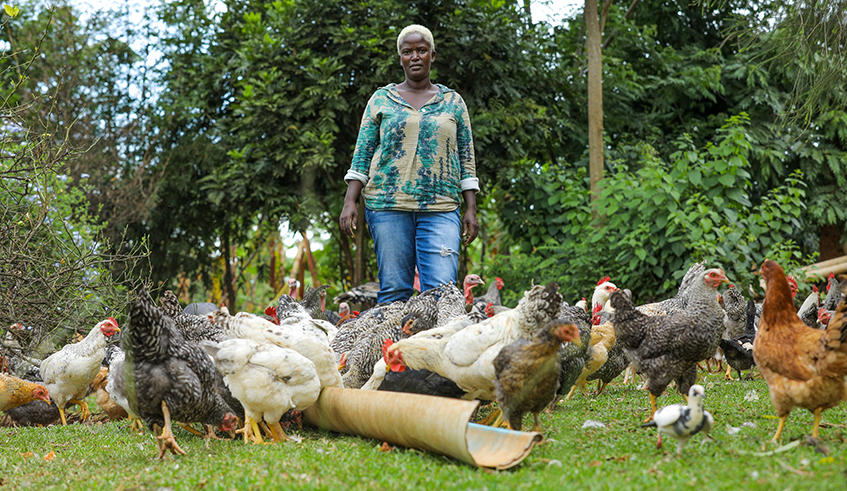 Nellie Ingabire at her farm located in Nyamata, where she lives with her children. / Photos by Willy Mucyo
