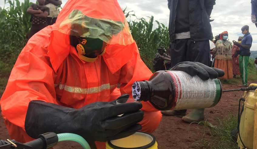 A worker uses pesticides in Musanze District. There is a need for strengthened enforcement and vigilance on borders to ensure the banned pesticides are not smuggled into the country. / Photo: File.