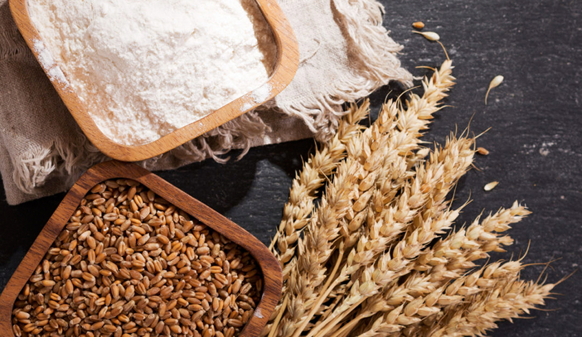 Wheat is mainly grown in the Northern region of Rwanda. Photo/Net