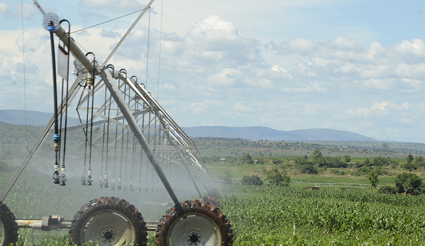 Nasho solar powered irrigation project in Kirehe District. / Photo: File.