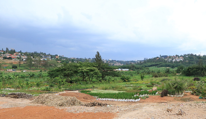 A view of Rugenge wetland located in Kicukiro sector of Kicukiro District . /Courtesy