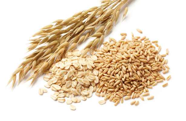 Barley is an incredibly versatile grain with an impressive nutrient profile . Photo/ net.