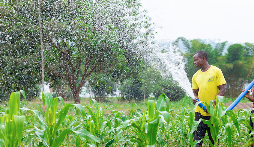 A farmer during irrigation exercise in Bugesera District in December 2021. /Courtesy
