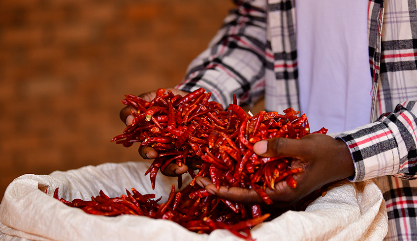 Tuviei wants to produce chilli in Kayonza based farm. / Photo: Courtesy