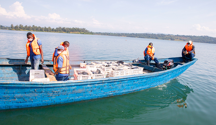 Fishermen during the fishing activities in Lake Kivu . / Courtesy