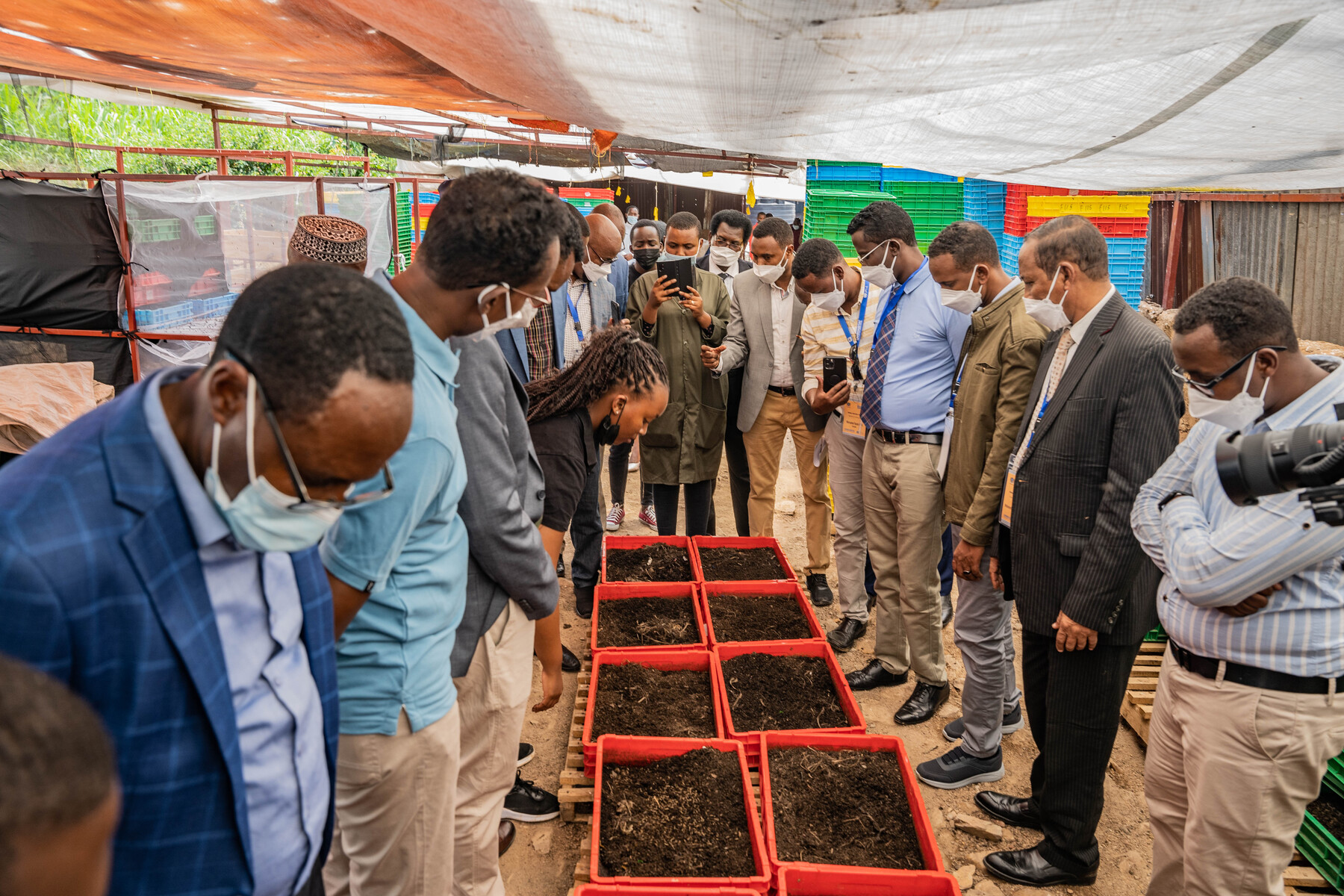 Somali mayors visit the Bishenyi Pilot Project. A new project based in Kamonyi district has been piloting the use of black soldier flies (BSF) larvae as an essential decomposer for breaking down organic substrates.