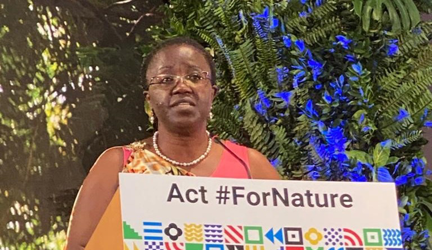 The Minister for Environment, Jeanne du2019Arc Mujawamariya delivers remarks during the 5th session of the United National Environment Assembly in Nairobi, Kenya on February 28. Photo: Courtesy.