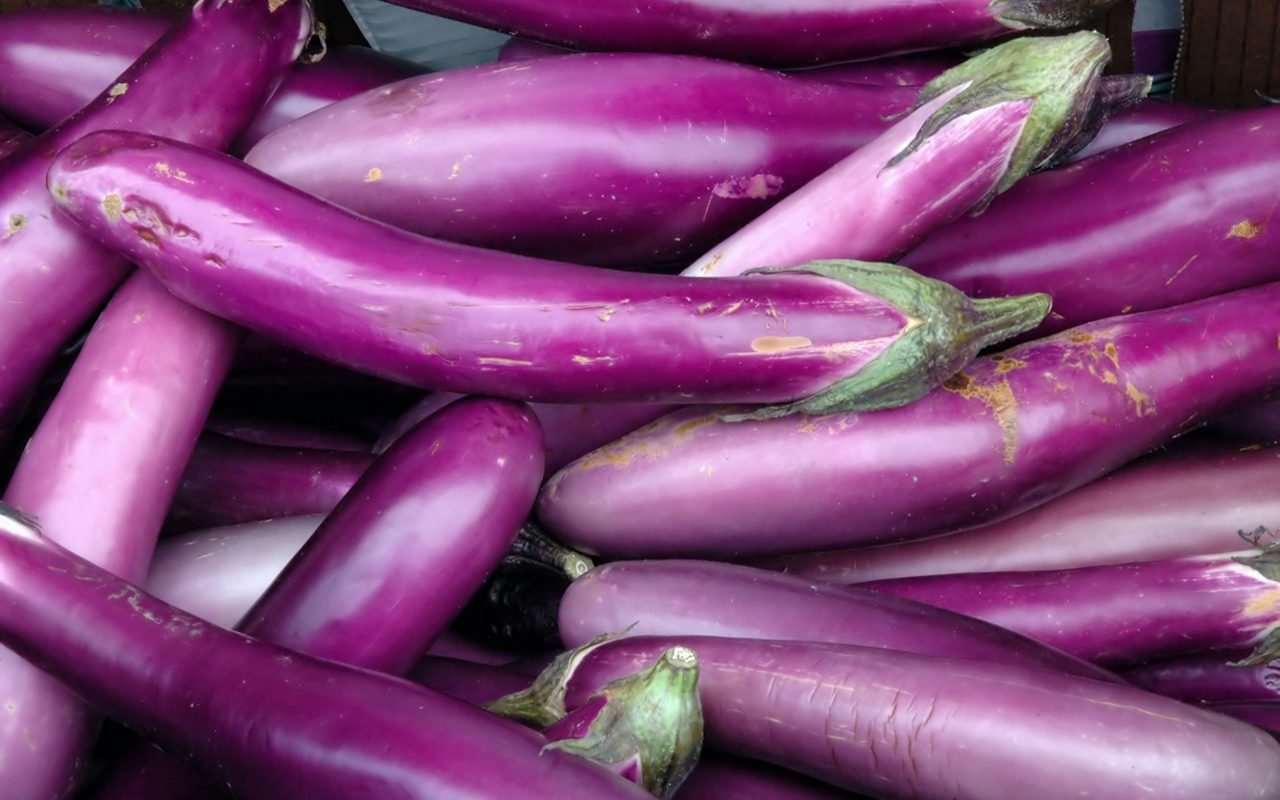 Chinese eggplant has a less bitter taste than usual eggplants. Photo/Net