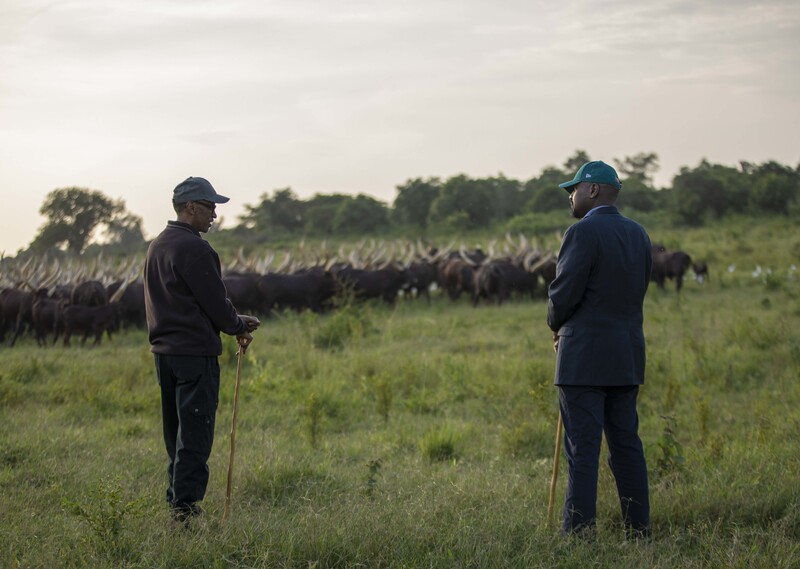 President Kagame received Lt Gen. Muhoozi Kainerugaba at his farm where he gifted him with Inyambo cows on Tuesday on March 15. 